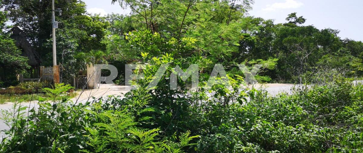 Foto de terreno habitacional en macario gómez , macario gómez, tulum, quintana roo, 0 foto 03 Foto de terreno habitacional en venta en macario gómez , macario gómez, tulum, quintana roo, 0 No. 03