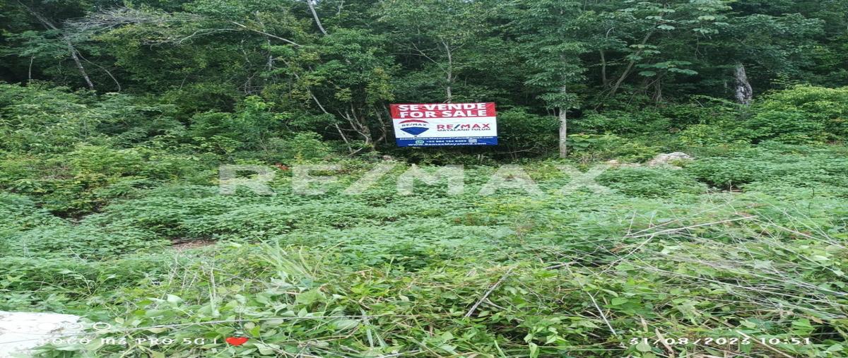 Foto de terreno habitacional en macario gómez , macario gómez, tulum, quintana roo, 0 foto 04 Foto de terreno habitacional en venta en macario gómez , macario gómez, tulum, quintana roo, 0 No. 04