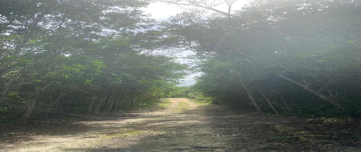 Foto de terreno habitacional en venta en macario gómez , macario gómez, tulum, quintana roo, 28172449 No. 03