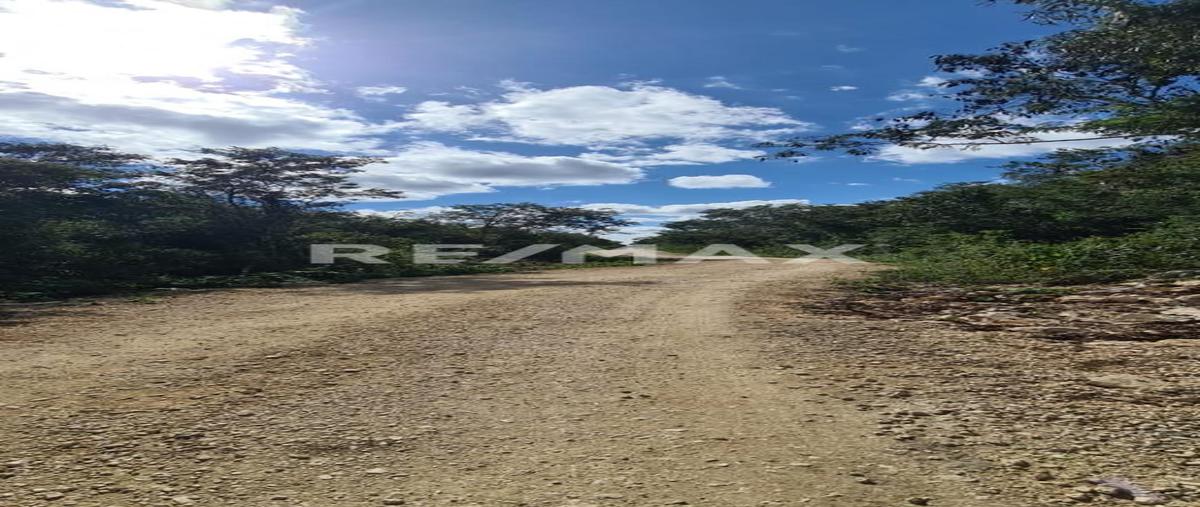 Foto de terreno habitacional en venta en macario gómez , macario gómez, tulum, quintana roo, 0 No. 03