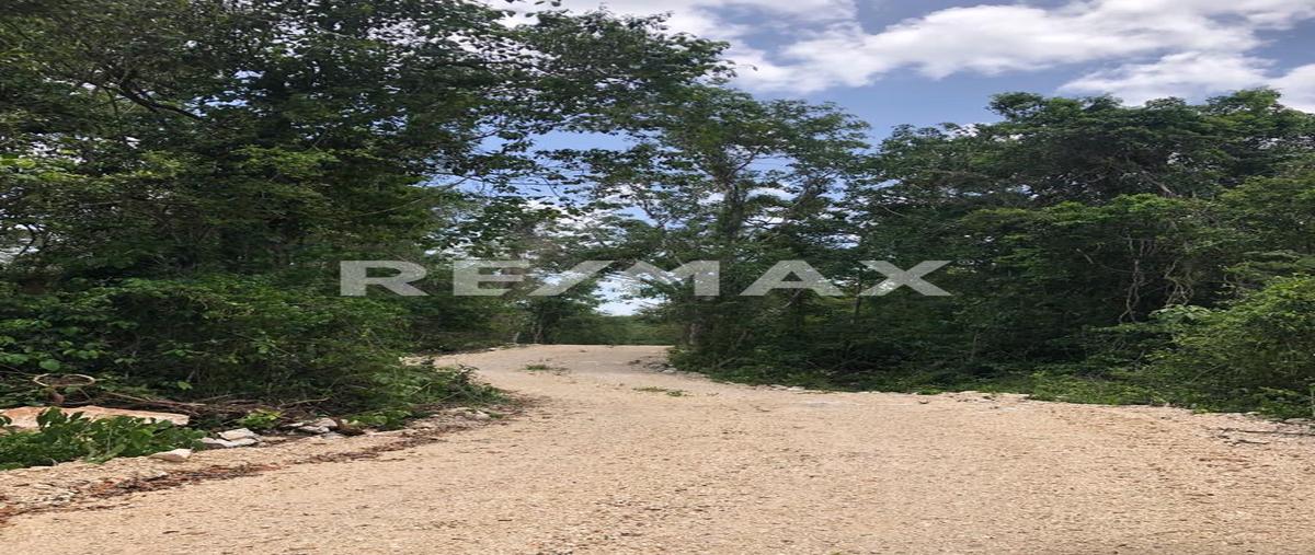 Foto de terreno habitacional en venta en macario gómez , macario gómez, tulum, quintana roo, 0 No. 03