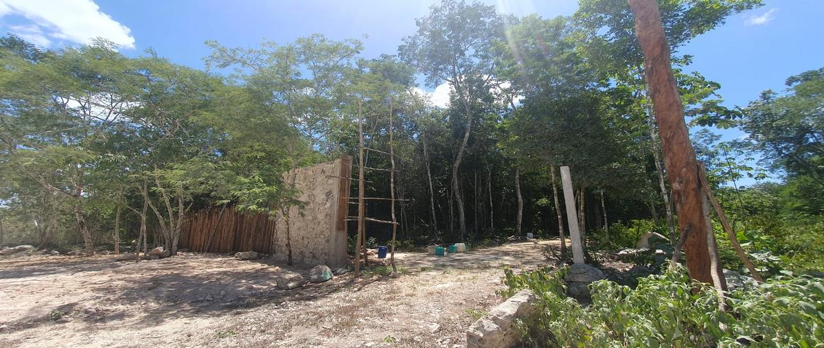 Foto de terreno habitacional en venta en macario gómez , macario gómez, tulum, quintana roo, 28173090 No. 03
