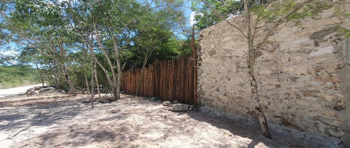 Foto de terreno habitacional en venta en macario gómez , macario gómez, tulum, quintana roo, 28173090 No. 05