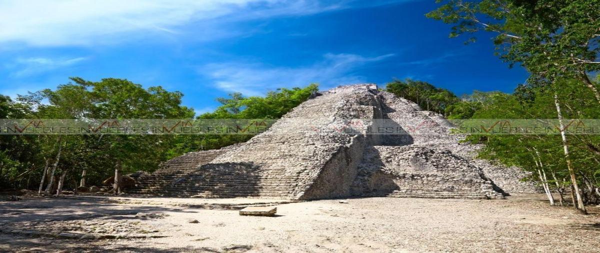 Foto de terreno habitacional en venta en macario gómez , macario gómez, tulum, quintana roo, 0 No. 04