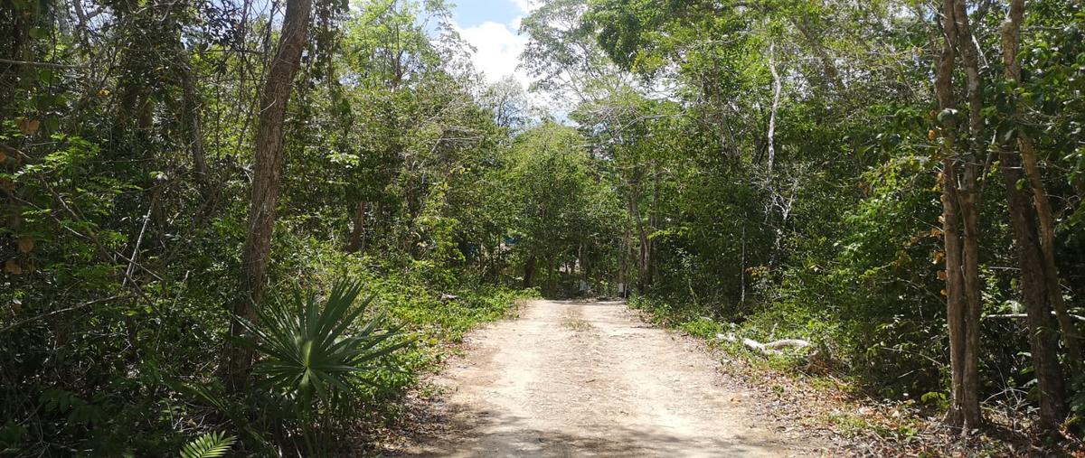 Foto de terreno habitacional en venta en macario gómez , tulum centro, tulum, quintana roo, 28173256 No. 03