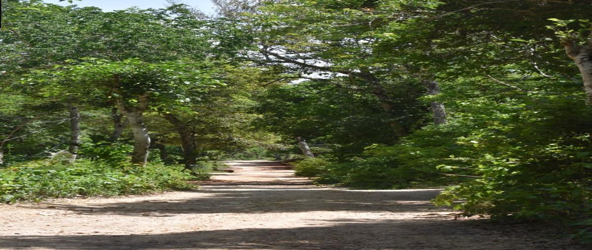 Foto de terreno habitacional en venta en  , macario gómez, tulum, quintana roo, 0 No. 03