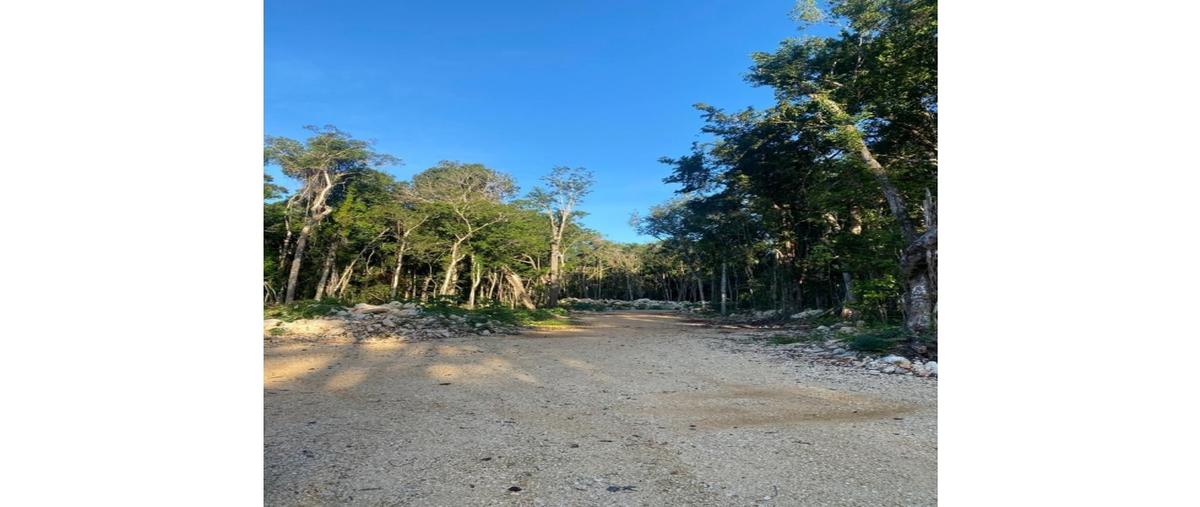 Foto de terreno habitacional en venta en  , macario gómez, tulum, quintana roo, 0 No. 04
