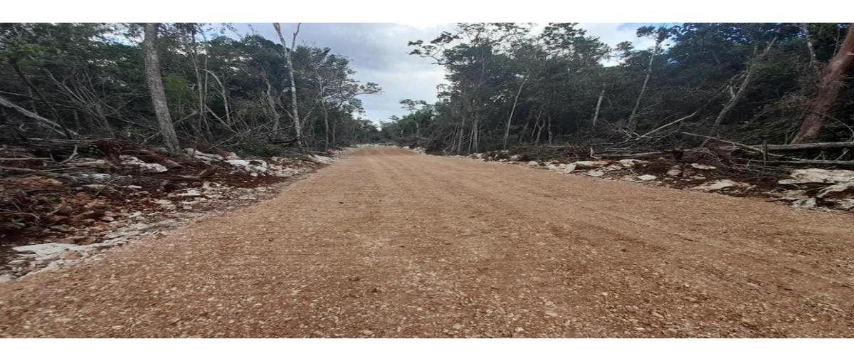 Foto de terreno habitacional en venta en  , macario gómez, tulum, quintana roo, 0 No. 05