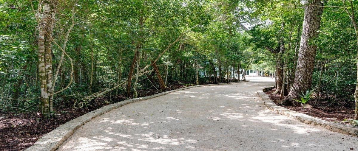 Foto de casa en venta en  , macario gómez, tulum, quintana roo, 28784819 No. 04