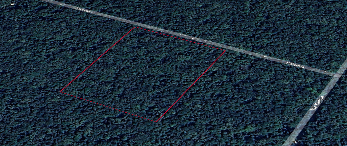 Foto de terreno habitacional en venta en  , macario gómez, tulum, quintana roo, 0 No. 03