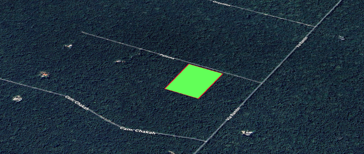 Foto de terreno habitacional en venta en  , macario gómez, tulum, quintana roo, 0 No. 04