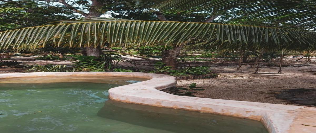 Foto de terreno habitacional en venta en  , macario gómez, tulum, quintana roo, 0 No. 05