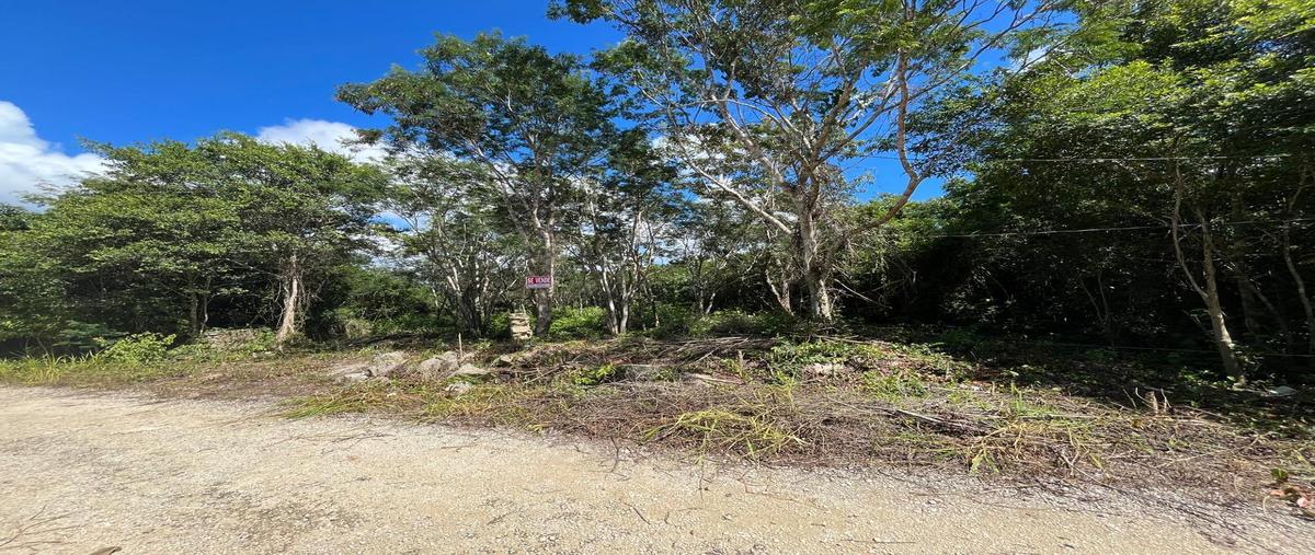 Foto de terreno habitacional en venta en  , macario gómez, tulum, quintana roo, 0 No. 03