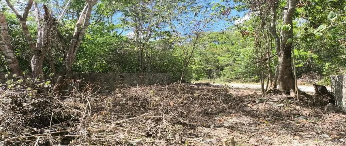 Foto de terreno habitacional en venta en  , macario gómez, tulum, quintana roo, 0 No. 04
