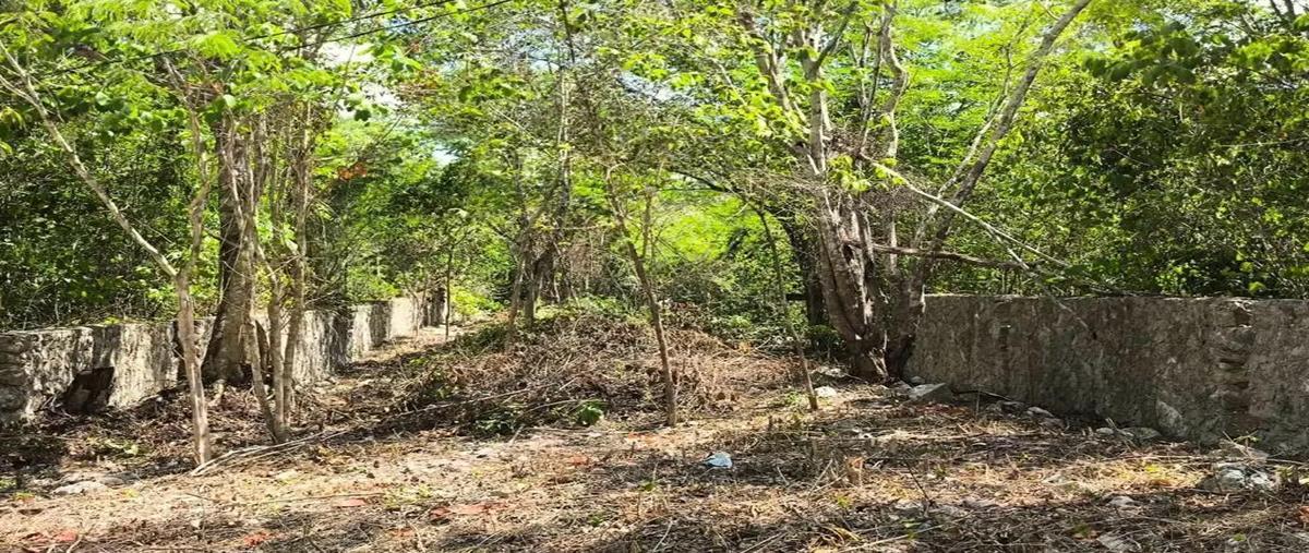 Foto de terreno habitacional en venta en  , macario gómez, tulum, quintana roo, 0 No. 05