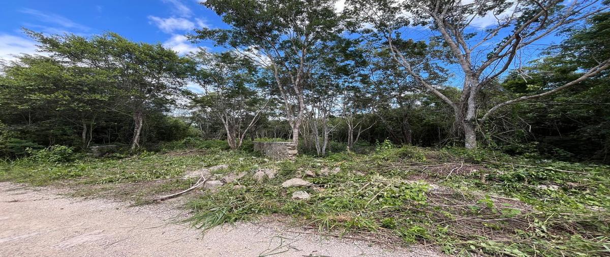 Foto de terreno habitacional en venta en  , macario gómez, tulum, quintana roo, 0 No. 03
