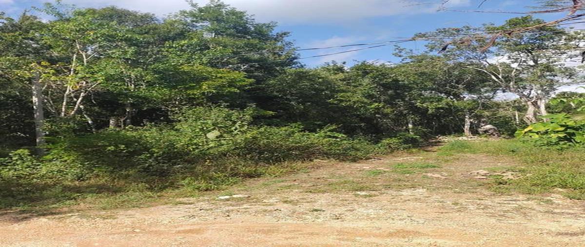 Foto de terreno habitacional en , macario gómez, tulum, quintana roo, 30889669 foto 01 Foto de terreno habitacional en venta en , macario gómez, tulum, quintana roo, 30889669 No. 01