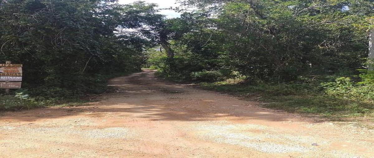 Foto de terreno habitacional en , macario gómez, tulum, quintana roo, 30889669 foto 02 Foto de terreno habitacional en venta en , macario gómez, tulum, quintana roo, 30889669 No. 02