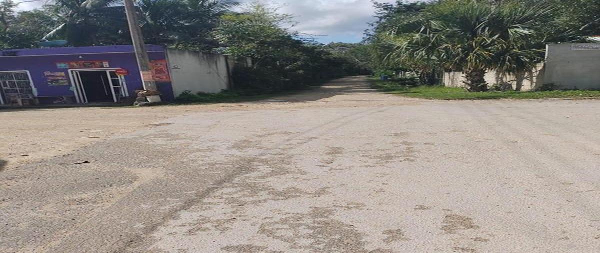 Foto de terreno habitacional en , macario gómez, tulum, quintana roo, 30889669 foto 04 Foto de terreno habitacional en venta en , macario gómez, tulum, quintana roo, 30889669 No. 04