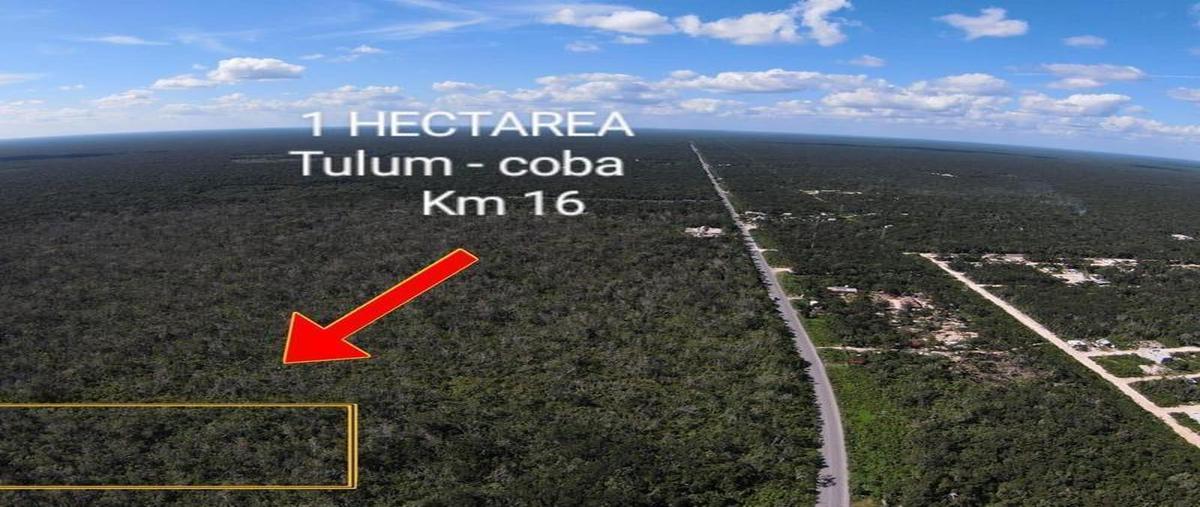 Foto de terreno habitacional en , macario gómez, tulum, quintana roo, 30889670 foto 03 Foto de terreno habitacional en venta en , macario gómez, tulum, quintana roo, 30889670 No. 03