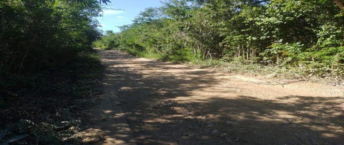 Foto de terreno habitacional en , macario gómez, tulum, quintana roo, 30889670 foto 04 Foto de terreno habitacional en venta en , macario gómez, tulum, quintana roo, 30889670 No. 04