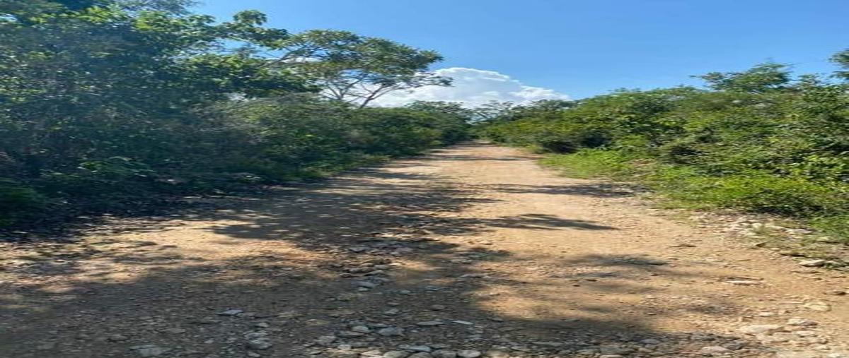Foto de terreno habitacional en , macario gómez, tulum, quintana roo, 30889670 foto 05 Foto de terreno habitacional en venta en , macario gómez, tulum, quintana roo, 30889670 No. 05