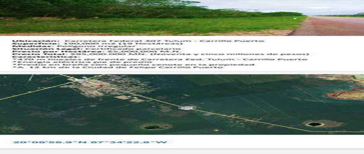 Foto de terreno habitacional en , macario gómez, tulum, quintana roo, 30889671 foto 02 Foto de terreno habitacional en venta en , macario gómez, tulum, quintana roo, 30889671 No. 02