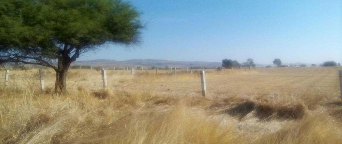 Foto de terreno habitacional en venta en  , macario j gómez, san francisco de los romo, aguascalientes, 0 No. 03