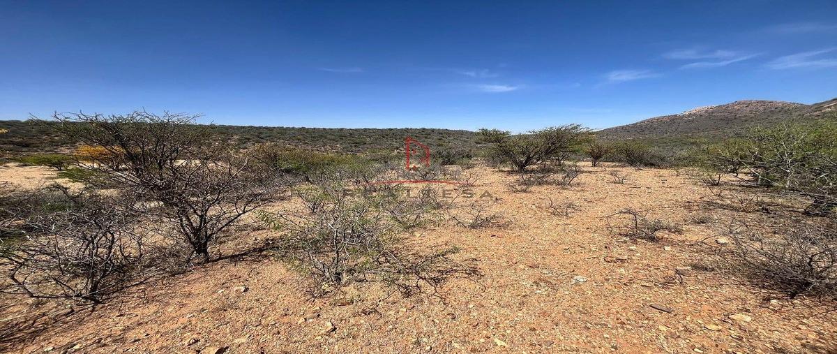 Foto de terreno habitacional en venta en  , maclovio herrera (santa rosa), hidalgo del parral, chihuahua, 0 No. 03