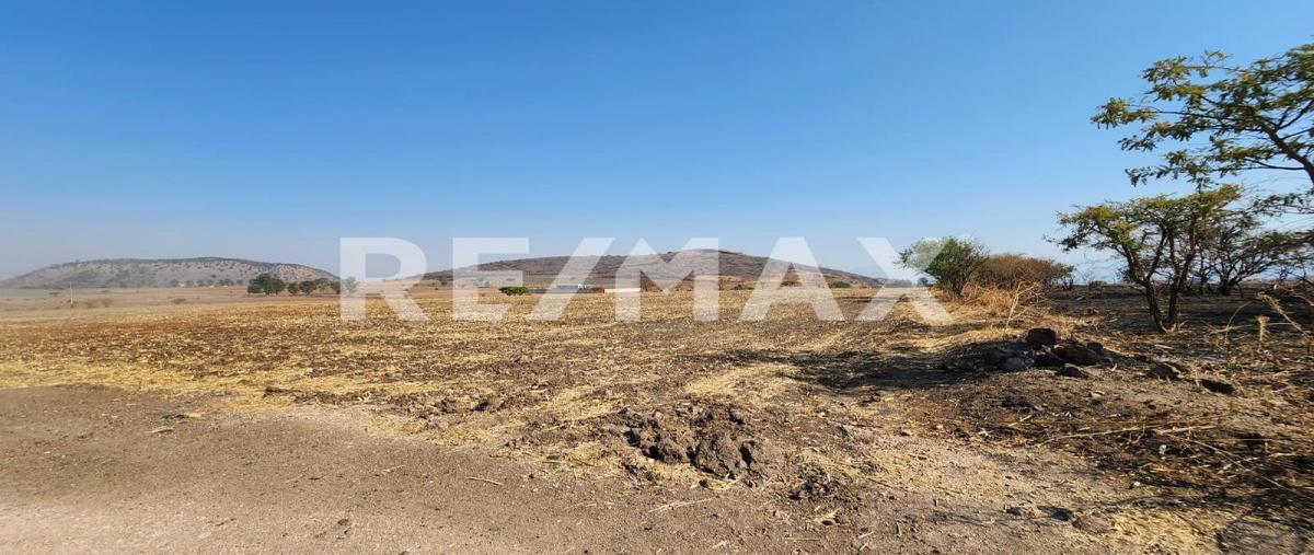 Foto de terreno habitacional en venta en macrolibramiento , buenavista, tlajomulco de zúñiga, jalisco, 0 No. 04