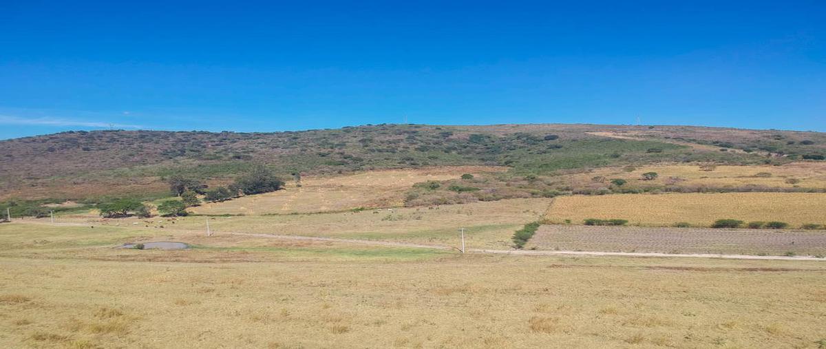 Foto de terreno habitacional en macrolibramiento , lomas de san diego, tlajomulco de zúñiga, jalisco, 25813498 foto 03 Foto de terreno habitacional en venta en macrolibramiento , lomas de san diego, tlajomulco de zúñiga, jalisco, 25813498 No. 03