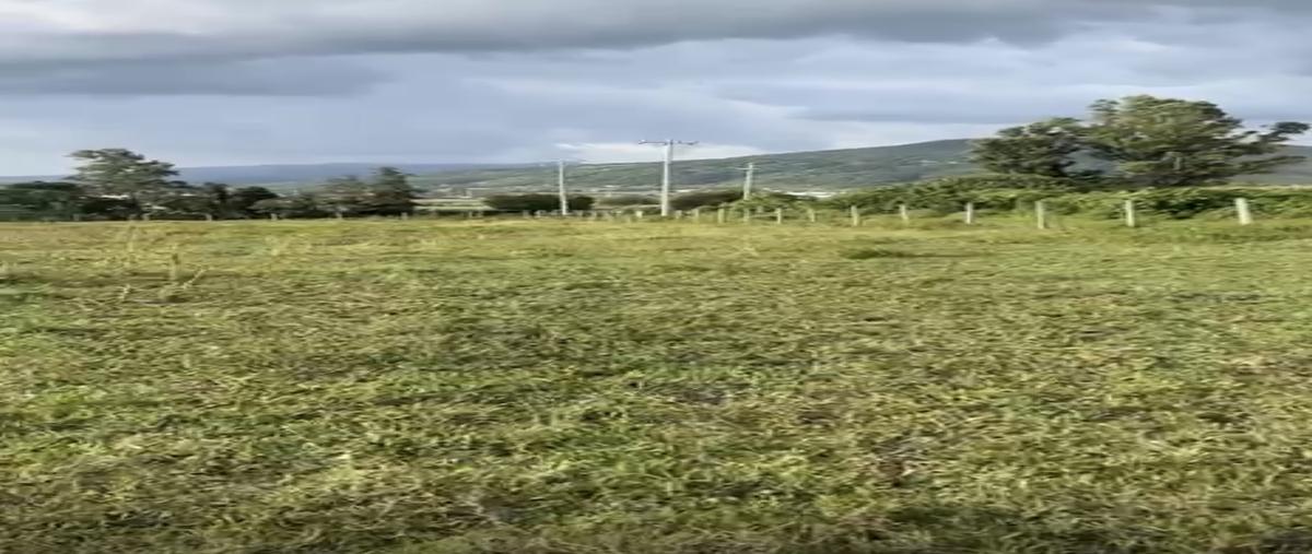 Foto de terreno habitacional en venta en macrolibramiento sur guadalajara , buenavista, tlajomulco de zúñiga, jalisco, 0 No. 03