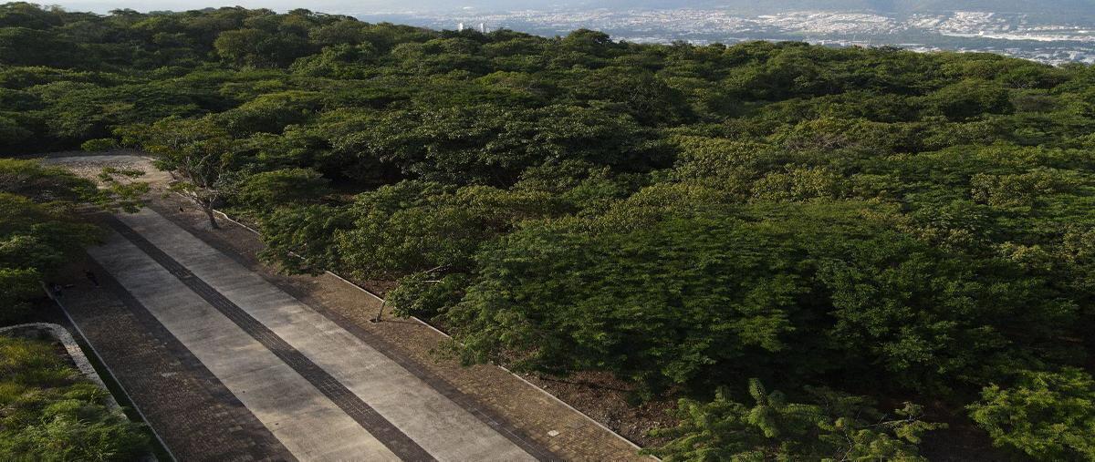 Foto de terreno habitacional en mactumatza , el cocal, tuxtla gutiérrez, chiapas, 28703418 foto 01 Foto de terreno habitacional en venta en mactumatza , el cocal, tuxtla gutiérrez, chiapas, 28703418 No. 01