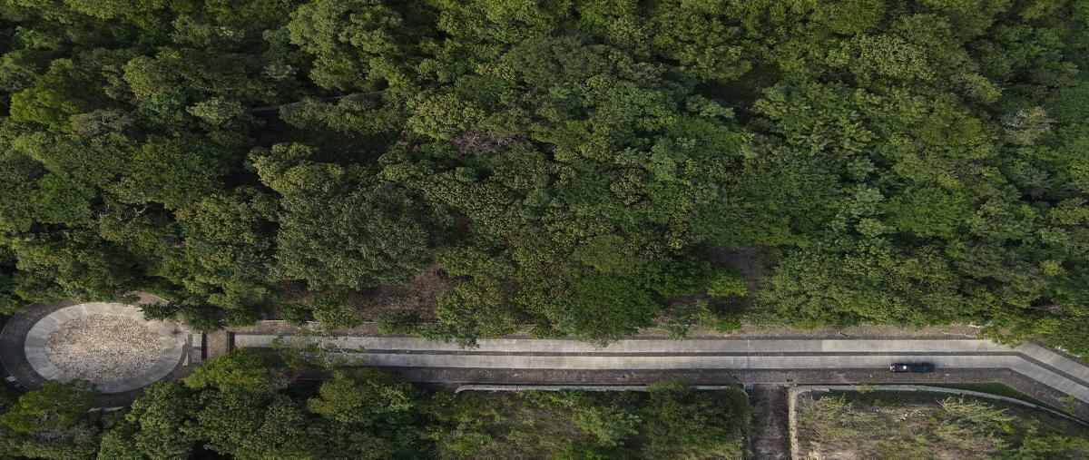 Foto de terreno habitacional en mactumatza , el cocal, tuxtla gutiérrez, chiapas, 28703418 foto 02 Foto de terreno habitacional en venta en mactumatza , el cocal, tuxtla gutiérrez, chiapas, 28703418 No. 02