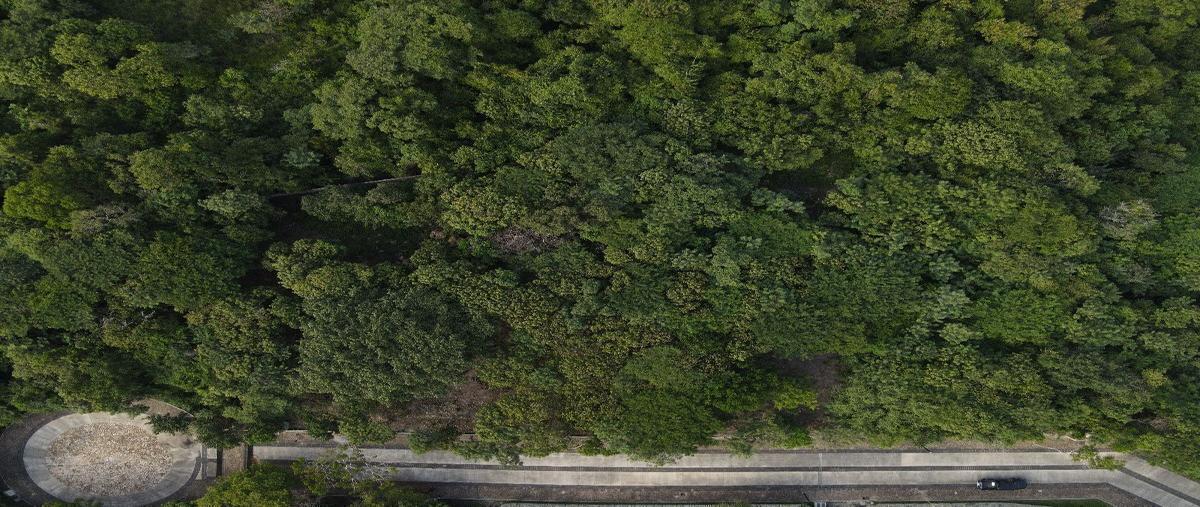 Foto de terreno habitacional en mactumatza , el cocal, tuxtla gutiérrez, chiapas, 28703418 foto 03 Foto de terreno habitacional en venta en mactumatza , el cocal, tuxtla gutiérrez, chiapas, 28703418 No. 03