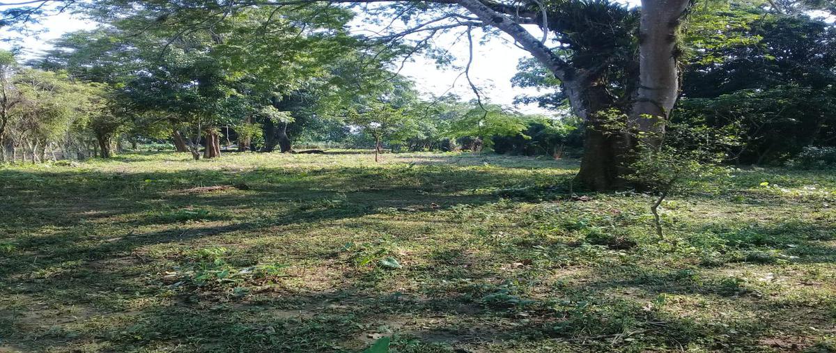 Foto de terreno habitacional en venta en  , macuspana centro, macuspana, tabasco, 0 No. 03