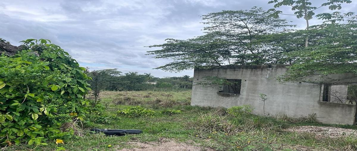 Foto de terreno habitacional en venta en  , macuspana centro, macuspana, tabasco, 0 No. 05