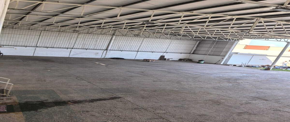 Foto de bodega en , maderas, carmen, campeche, 30227074 foto 04 Foto de bodega en renta en , maderas, carmen, campeche, 30227074 No. 04