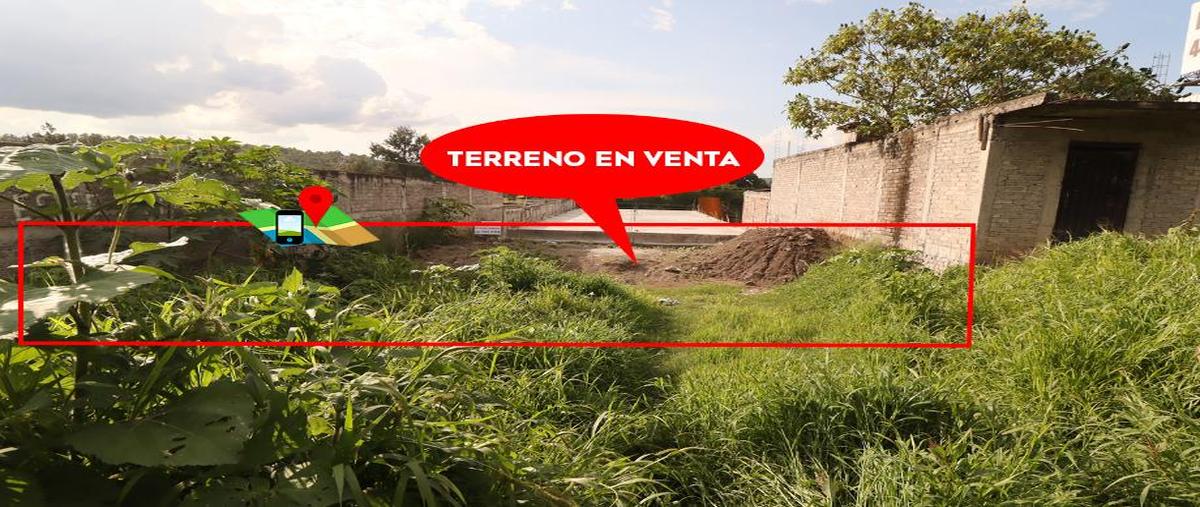 Foto de terreno habitacional en venta en maestro j. refugio a. cabrera , vicente lombardo toledano, morelia, michoacán de ocampo, 28602634 No. 04