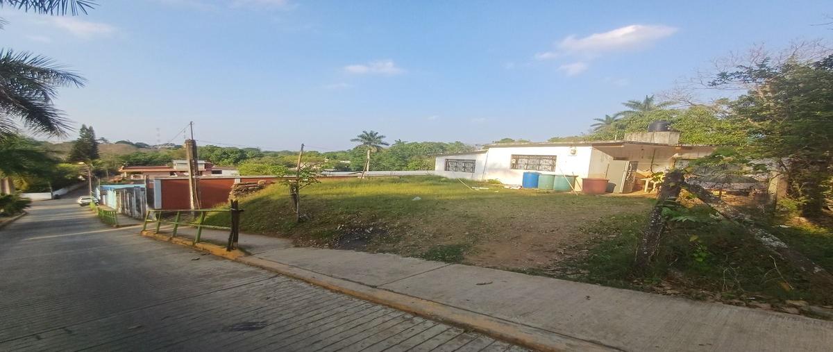 Foto de casa en venta en maestro rural , huautla centro, huautla, hidalgo, 29775066 No. 04