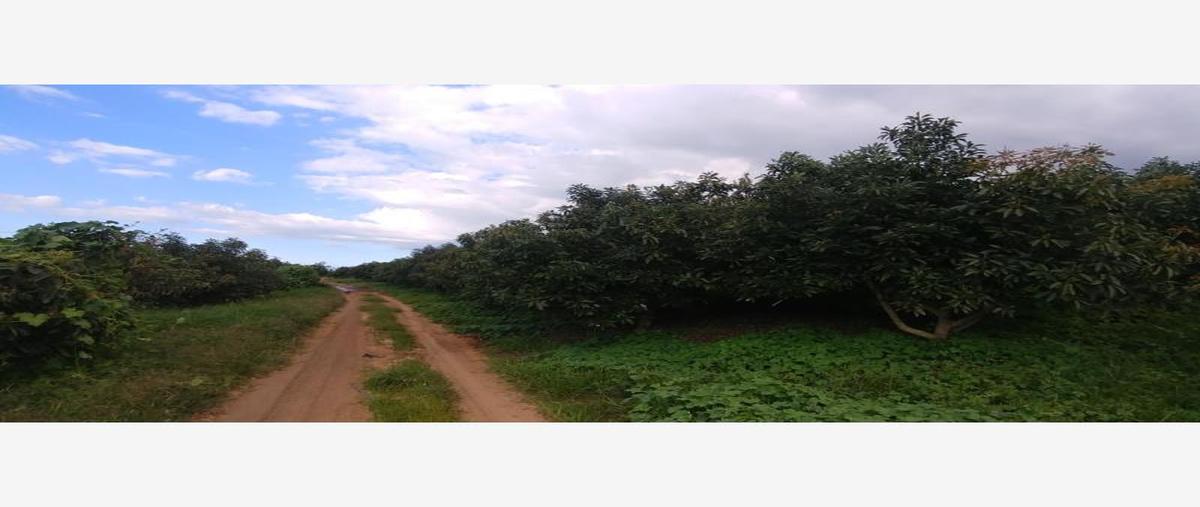 Foto de terreno comercial en venta en  , magaña, guadalajara, jalisco, 8627677 No. 01