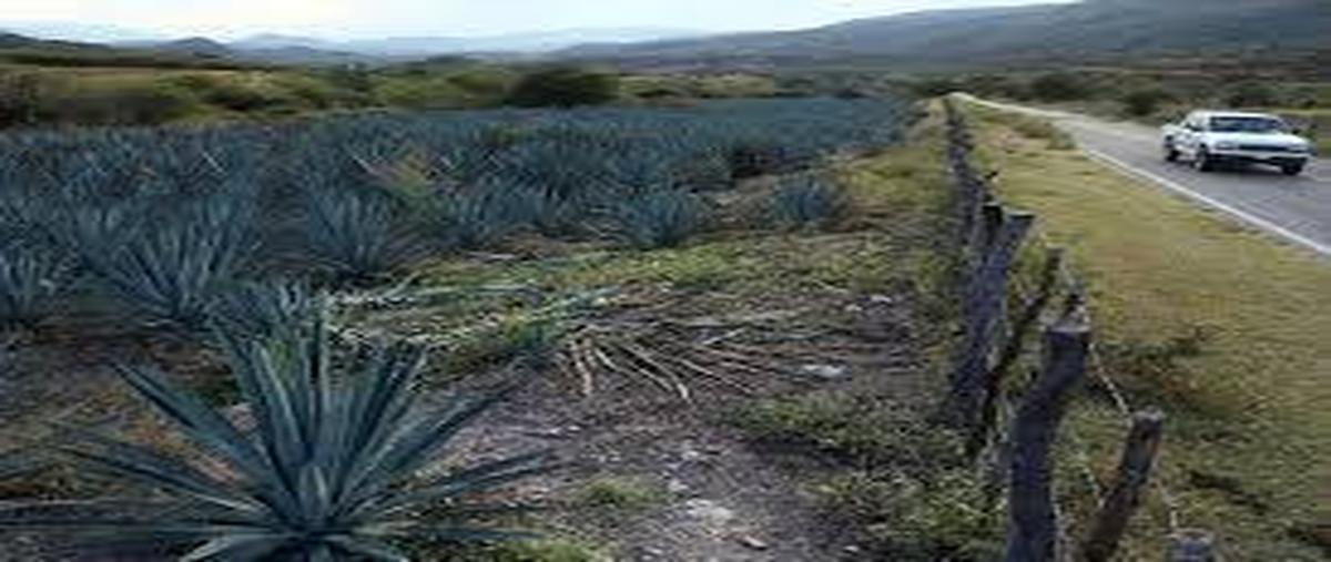 Foto de terreno habitacional en venta en  , magdalena centro, magdalena, jalisco, 0 No. 05