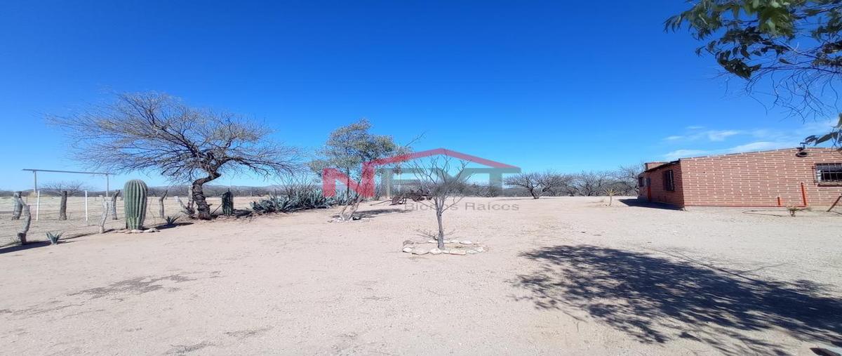 Foto de rancho en , magdalena de kino centro, magdalena, sonora, 31444148 foto 02 Foto de rancho en venta en , magdalena de kino centro, magdalena, sonora, 31444148 No. 02