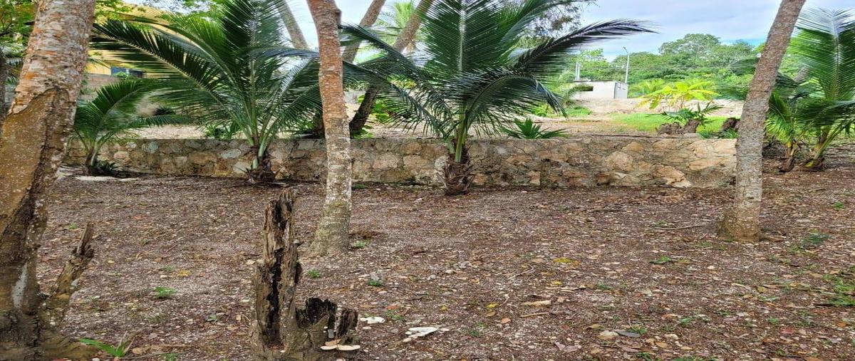 Foto de terreno habitacional en , magisterial, bacalar, quintana roo, 0 foto 05 Foto de terreno habitacional en venta en , magisterial, bacalar, quintana roo, 0 No. 05