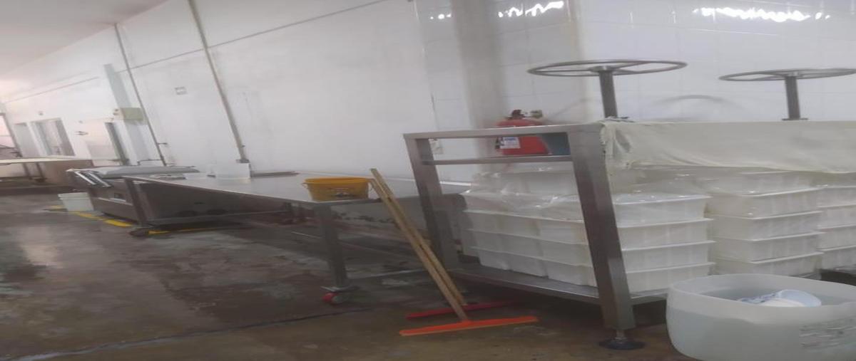 Foto de bodega en venta en  , magisterial, lerdo, durango, 31063061 No. 04