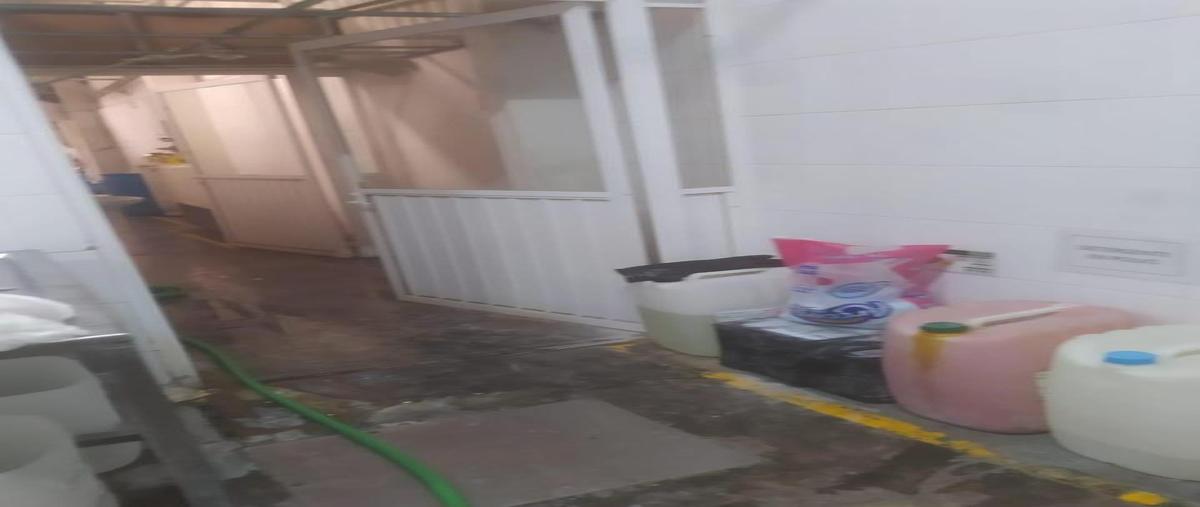 Foto de bodega en venta en  , magisterial, lerdo, durango, 31063061 No. 05