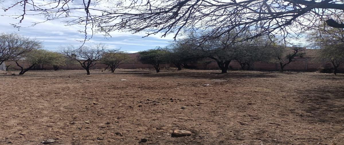Foto de terreno habitacional en venta en  , magisterial, rincón de romos, aguascalientes, 0 No. 03