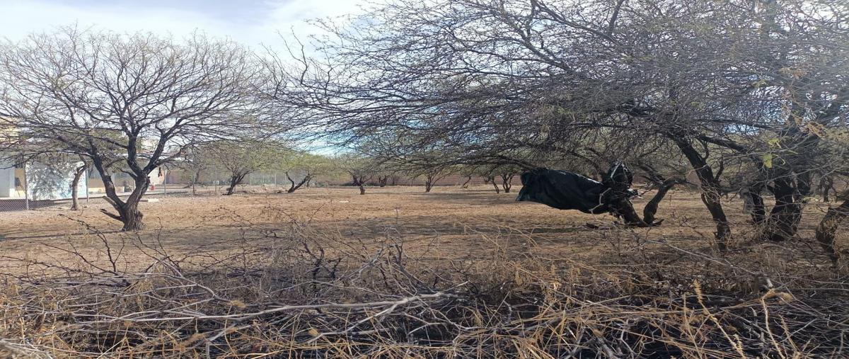 Foto de terreno habitacional en venta en  , magisterial, rincón de romos, aguascalientes, 0 No. 04