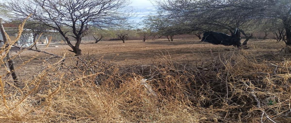 Foto de terreno habitacional en venta en  , magisterial, rincón de romos, aguascalientes, 0 No. 05