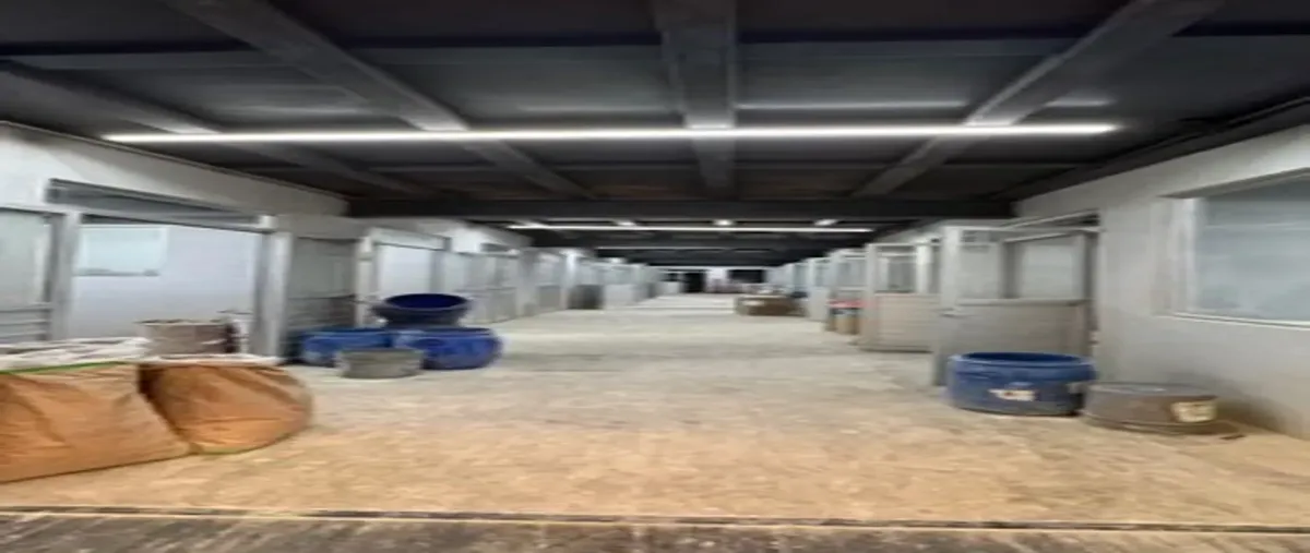Foto de bodega en renta en magnolia 681, agrícola, zapopan, jalisco, 0 No. 03